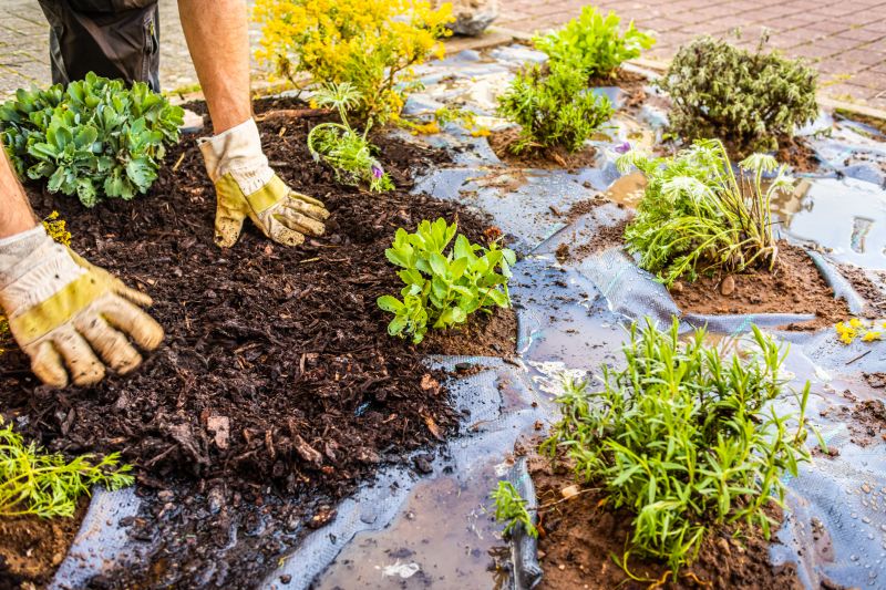 Black Mulch Installation in Honolulu, HI