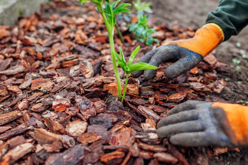 Brown Mulch Installation in Honolulu, HI