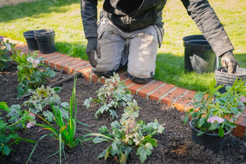 Bush Landscaping in Ventura County, CA