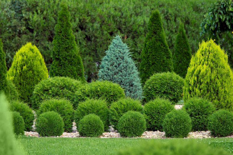 Bush Planting Service in Ventura County, CA