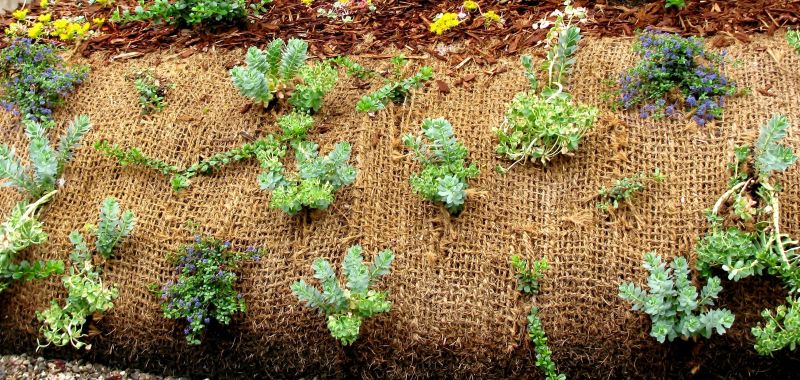 Erosion Control Installation in Honolulu, HI