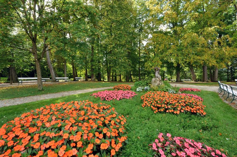 Flower Landscaping in Ventura County, CA