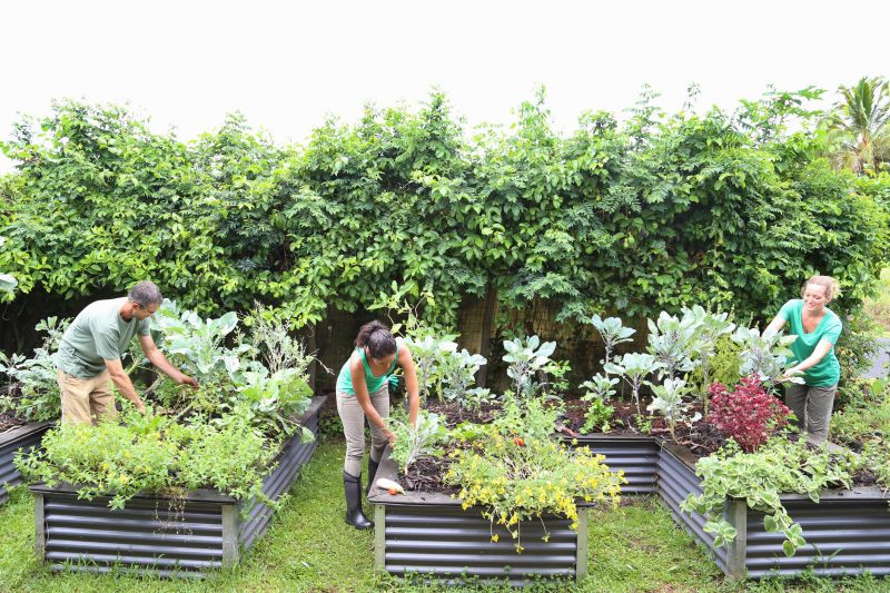 Garden Bed Construction in Honolulu, HI