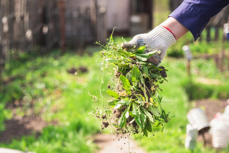 Garden Care Service in Honolulu, HI