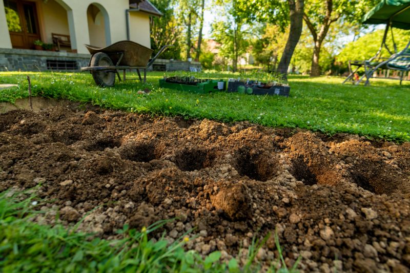 Garden Cleanup Service in Ventura County, CA