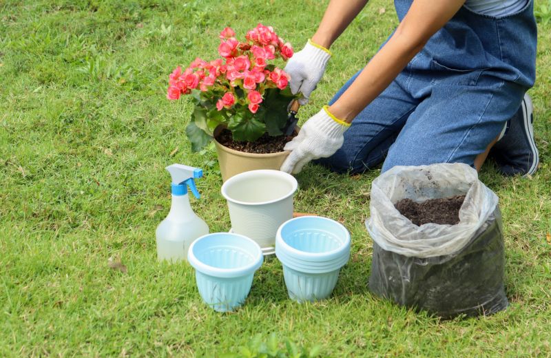 Gardening Service in Ventura County, CA