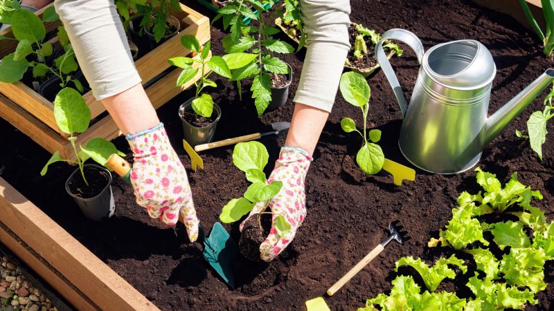 Gardening Service in Honolulu, HI