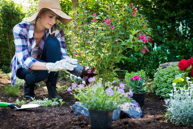 Landscape Planting Service in Ventura County, CA