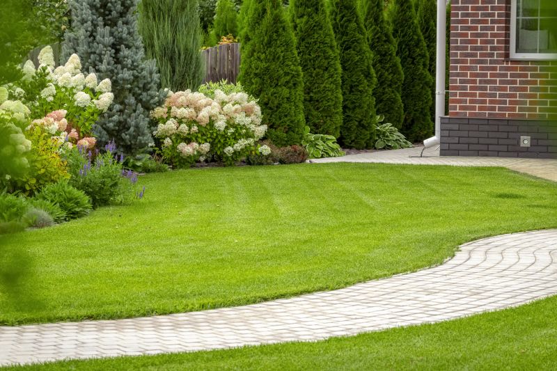 Landscape Remodeling in Honolulu, HI