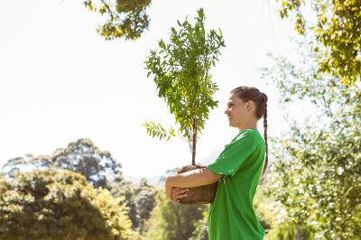 Orchard Planting in Ventura County, CA