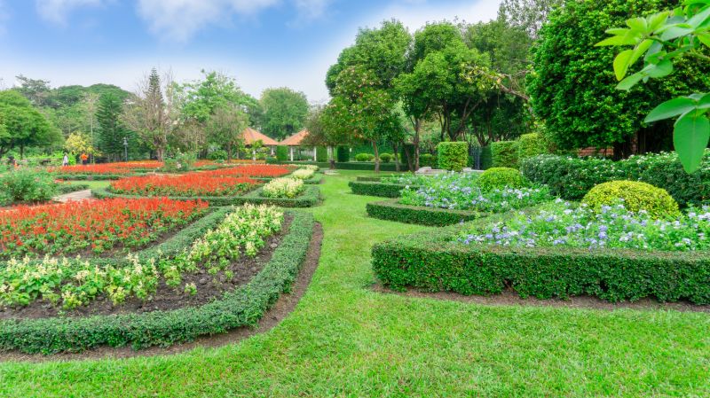 Privacy Shrub Planting in Ventura County, CA