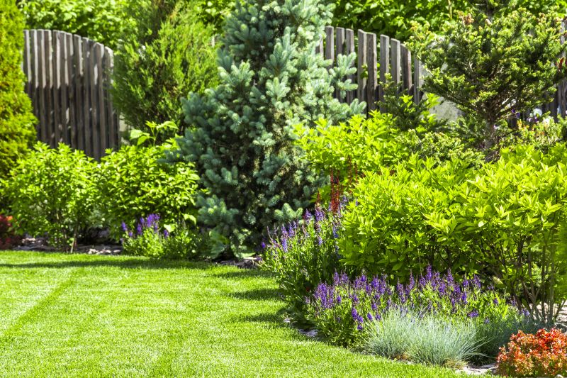Shredded Mulch Installation in Honolulu, HI