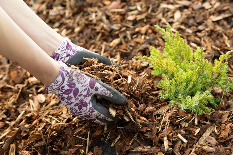 Shredded Mulch Service in Honolulu, HI