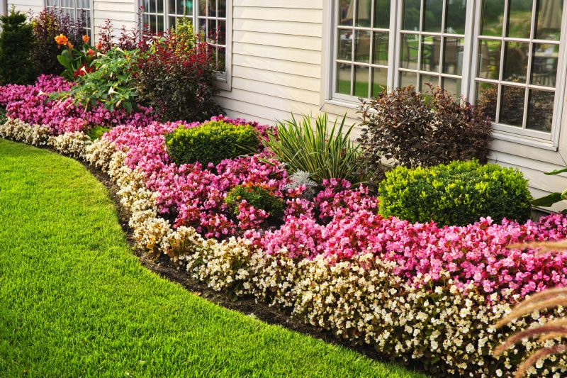 Shrub Installation in Honolulu, HI