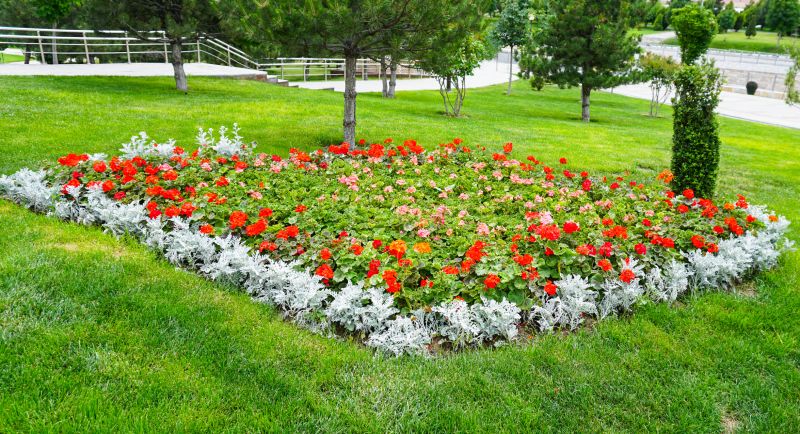 Shrub Planting Service in Ventura County, CA