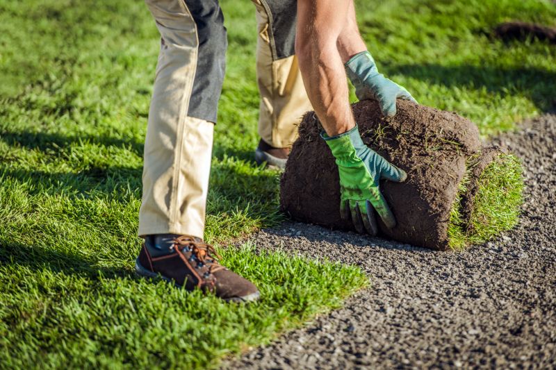 Softscaping Service in Honolulu, HI