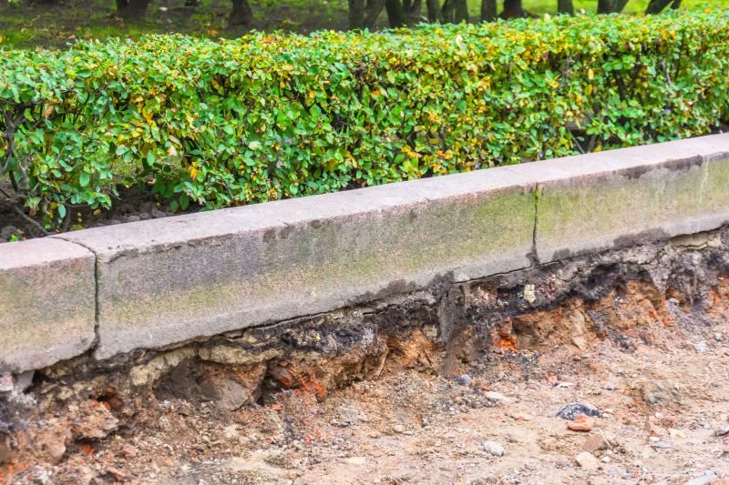 Tree Edging Installation in Citrus County, FL