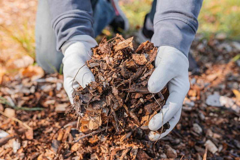 Weeding And Mulching in Honolulu, HI