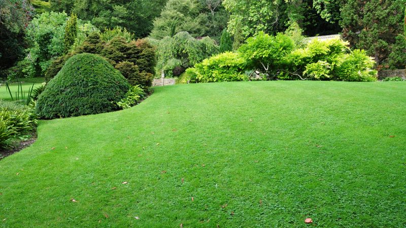 Park Landscape Maintenance in Honolulu, HI